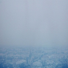 katra petricek 